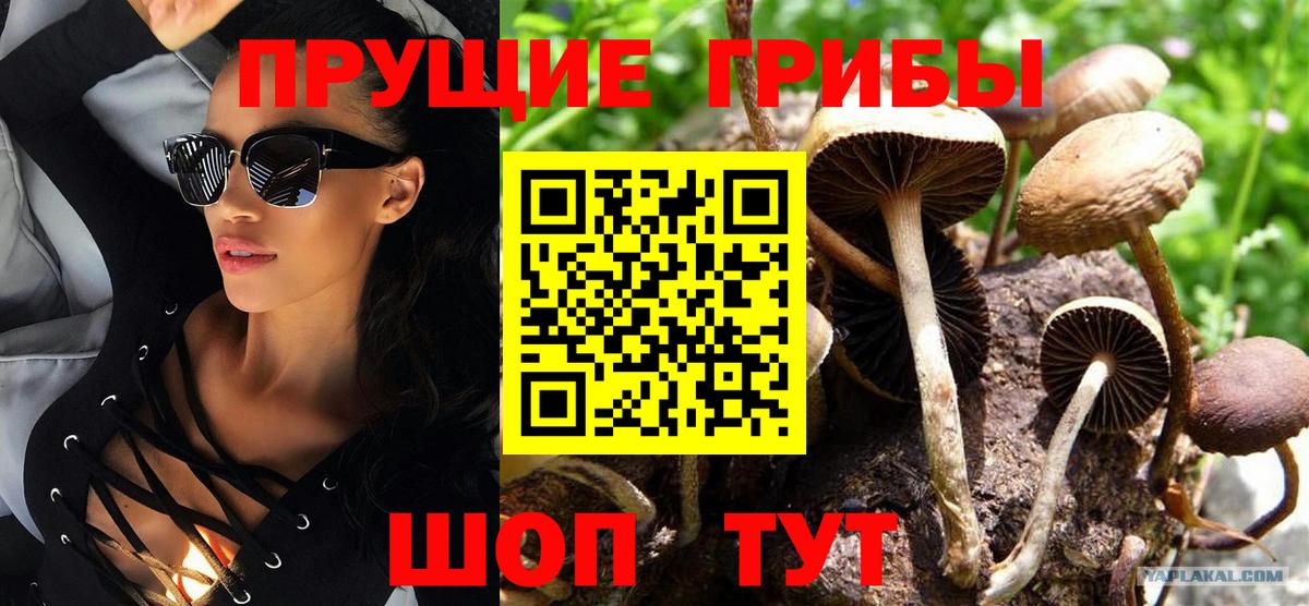 Галлюциногенные грибы мухоморы  Вход с VPN  Калининград 