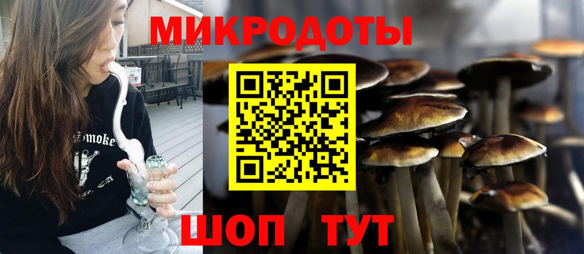 Галлюциногенные грибы Cubensis Калининград